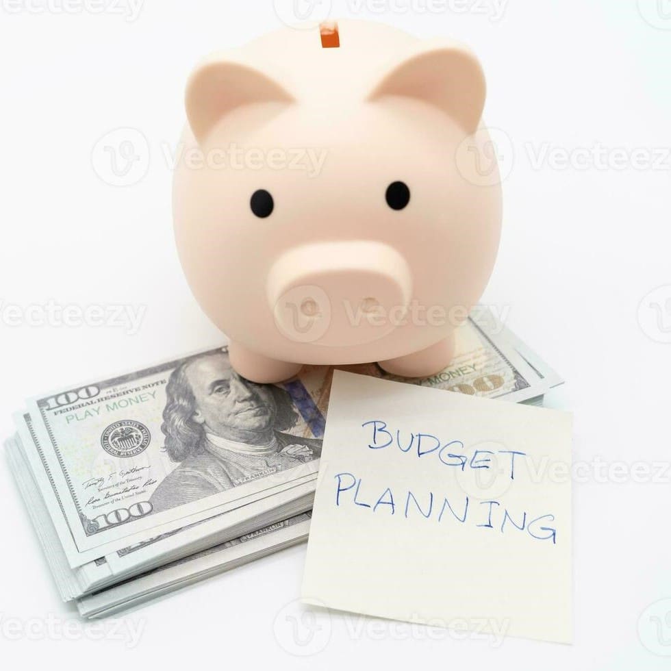 budget-pig