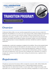 Click here to download our Transition Program PDF